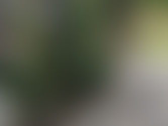 あるセレクトショップのResort Space