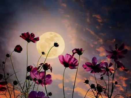 Intuitive Message for the Full Moon, in Scorpio, May 12 & Beyond!