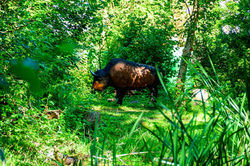 September_2025_Bild199