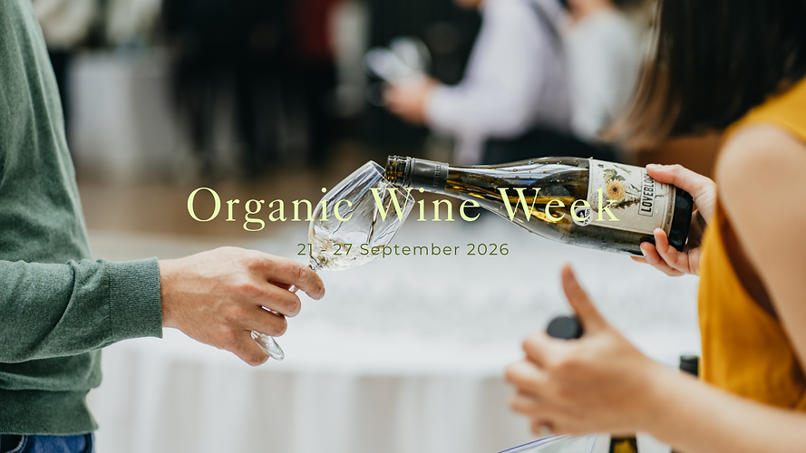 Website banners (1).png