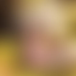 Mädchen in der Natur sitzend, liest in einem Buch