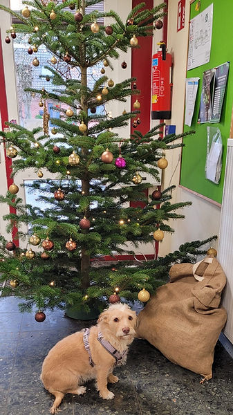 WhatsApp Image 2025-12-08 at 13.06.09.jpeg