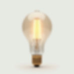 Edison Style Bulb