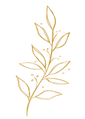 Linien.png
