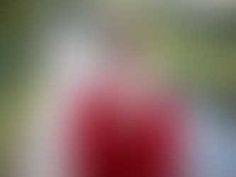 Mujer con alergia primaveral estornudando al aire libre por el polen