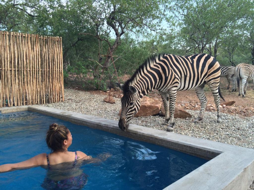A serene bushveld scene in Marloth Park with a grazing kudu under a canopy of trees.