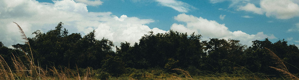 PSICOLOGO RINCON DE LA VICTORIA