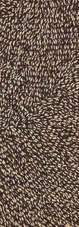 PECAN_LINEN.png