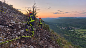 4.7.2026 Požar v naravi - Brestovica pri Komnu