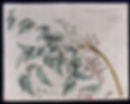 The Treatment Space- Ayurveda in Cambridge.jpeg