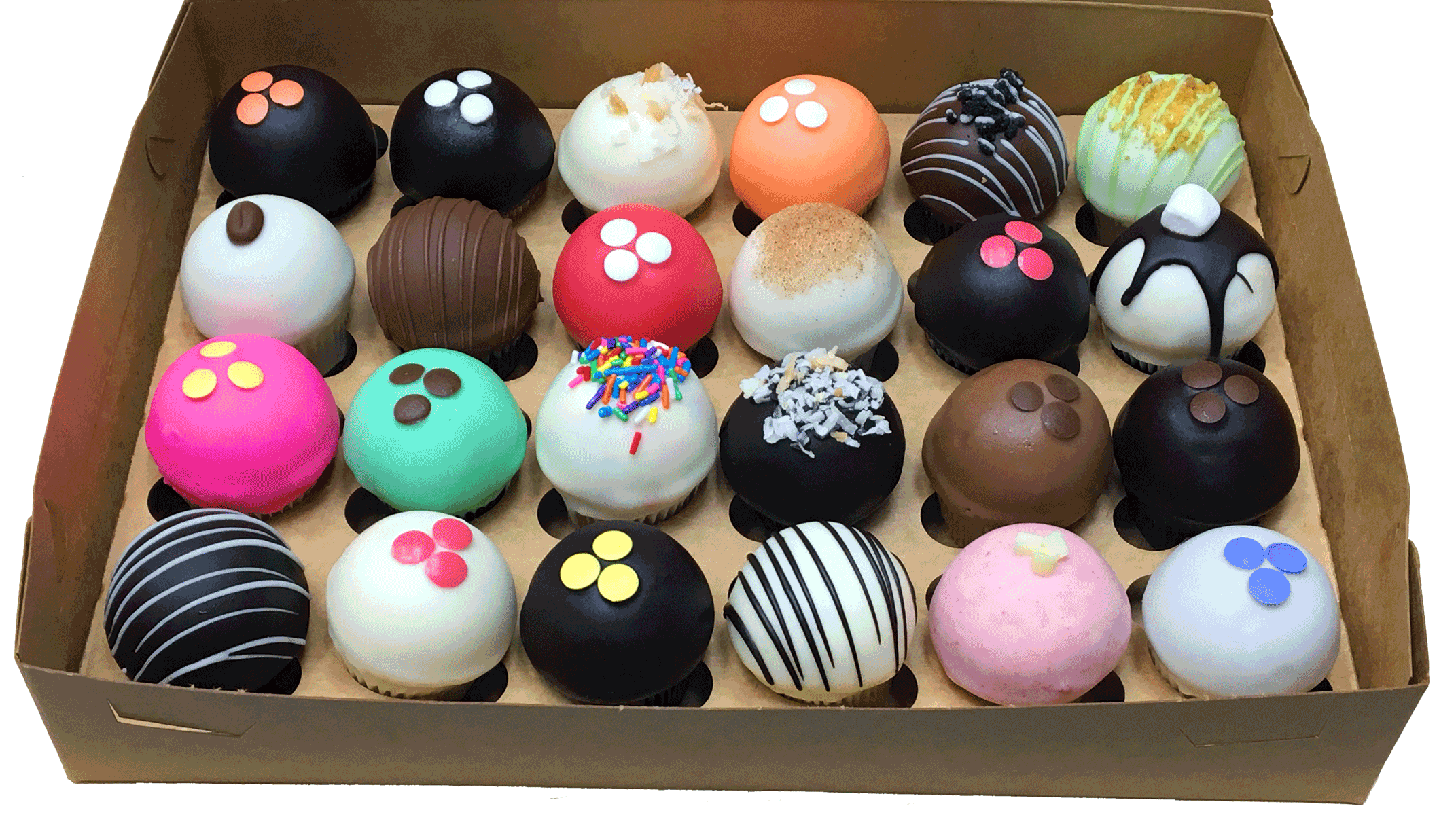 24 count box of toadstools