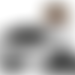 Shilajit: Nature’s Black Gold for Health Enthusiasts