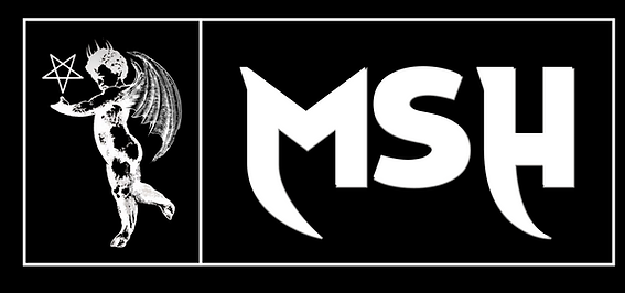 MSH (6).png