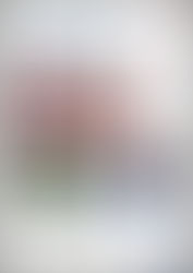 Collection En Somme Magazine Histoire - Nature - Arts - Civilisation - Collectif