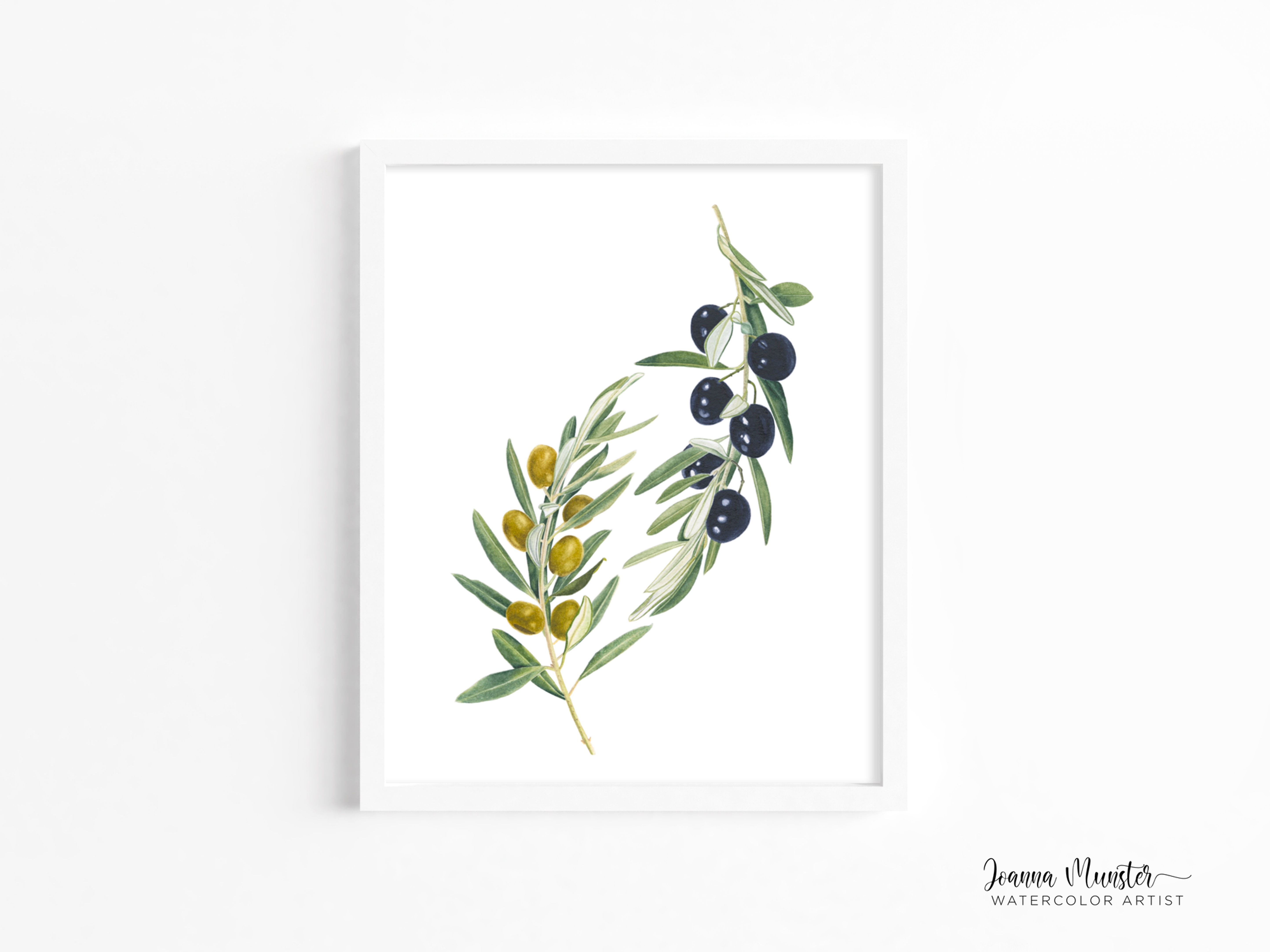 Joanna Munster Art Olives Watercolor Giclée Print