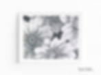 Joanna Munster Art Daisy Bouquet Pencil Giclée Print