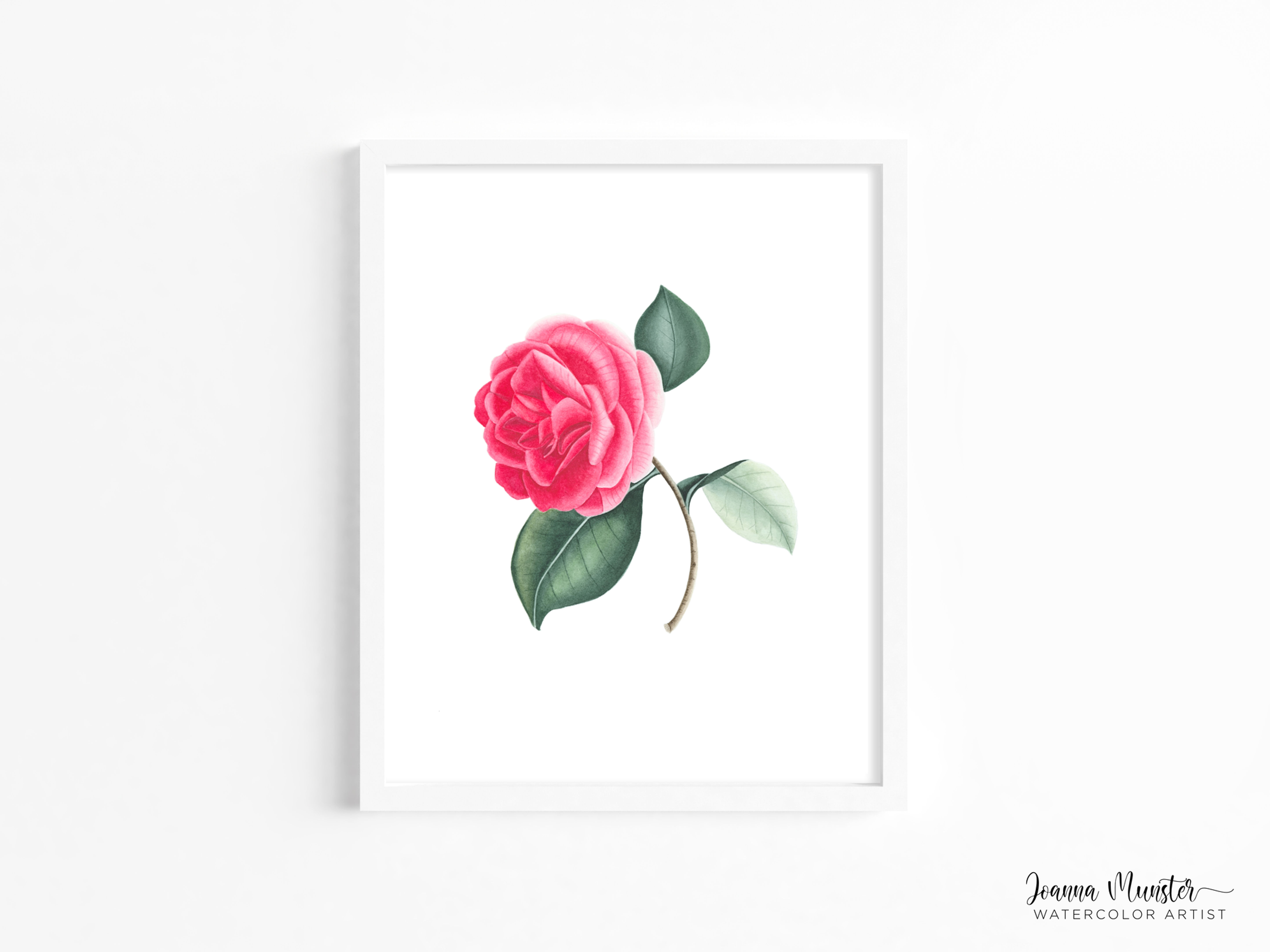 Joanna Munster Art Vintage Rose Watercolor Giclée Print
