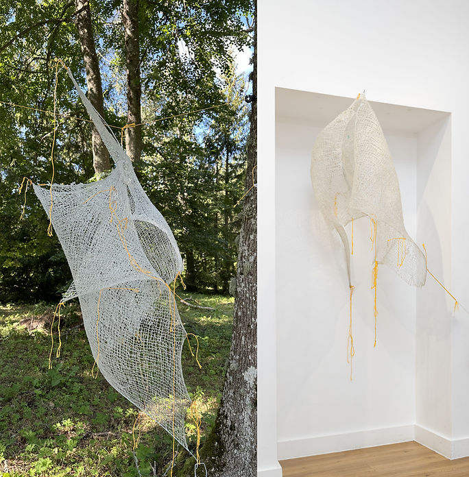 3_1 Les étoiles sur la vague.jpg