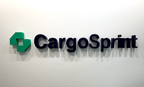 High-quality 3-dimensional letter logo sign, Dunwoody, Georgia, Metro Atlanta.