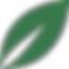 Asset 10.png