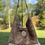 Thumbnail: Rouse Brazilian Brindle Hair-on Tote