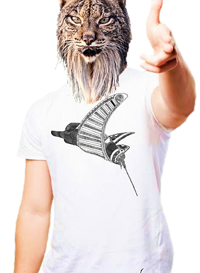 Manta 1.png