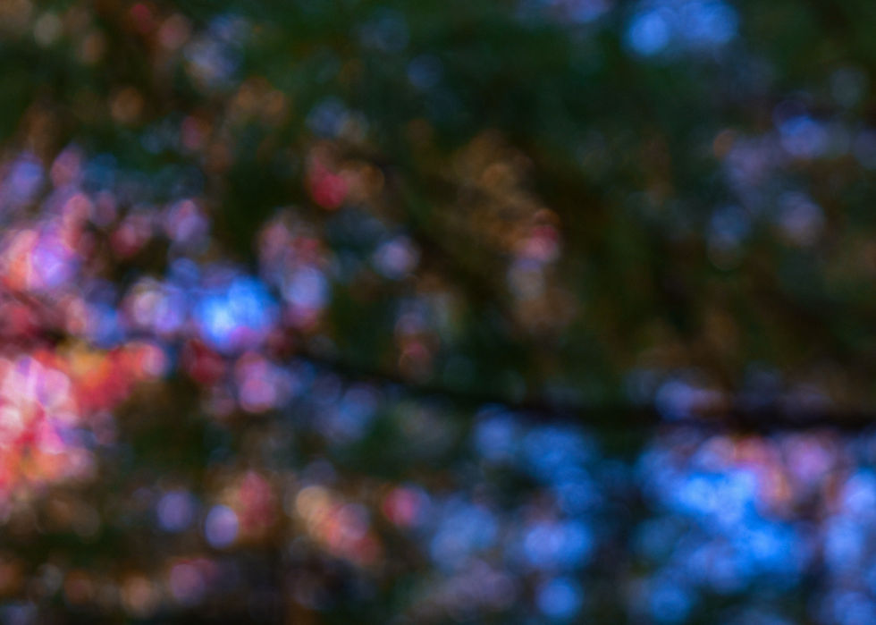 Fall Texture