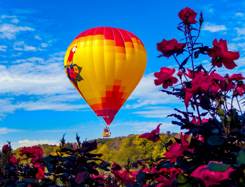 Balloon Ride