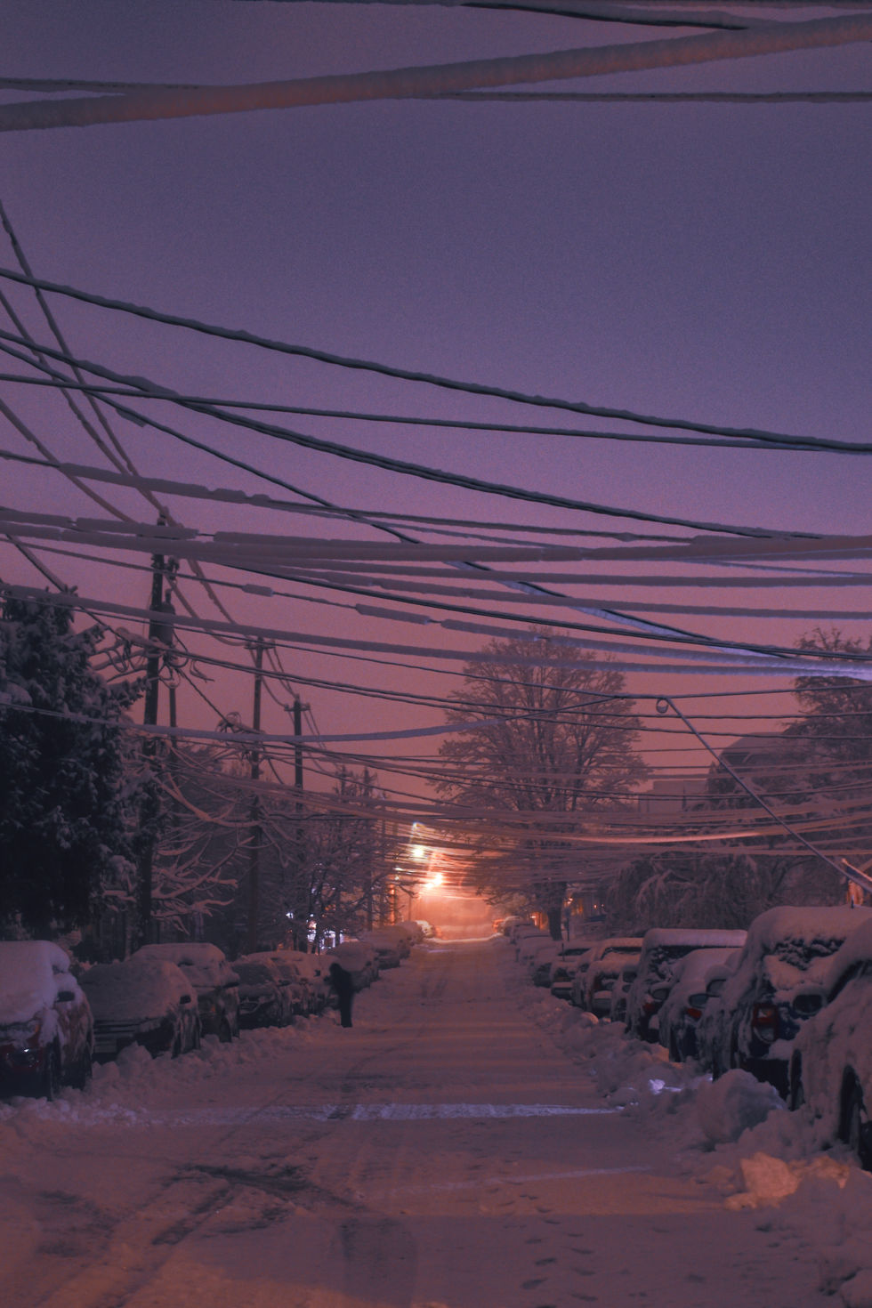 Winter Sunrise