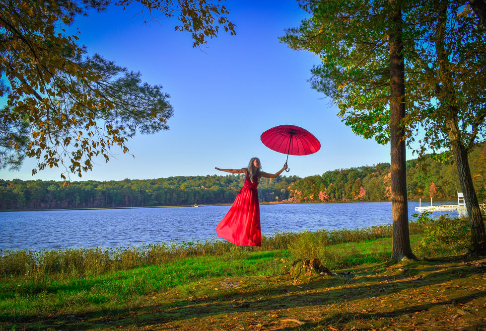 Lady In Red Flies 2