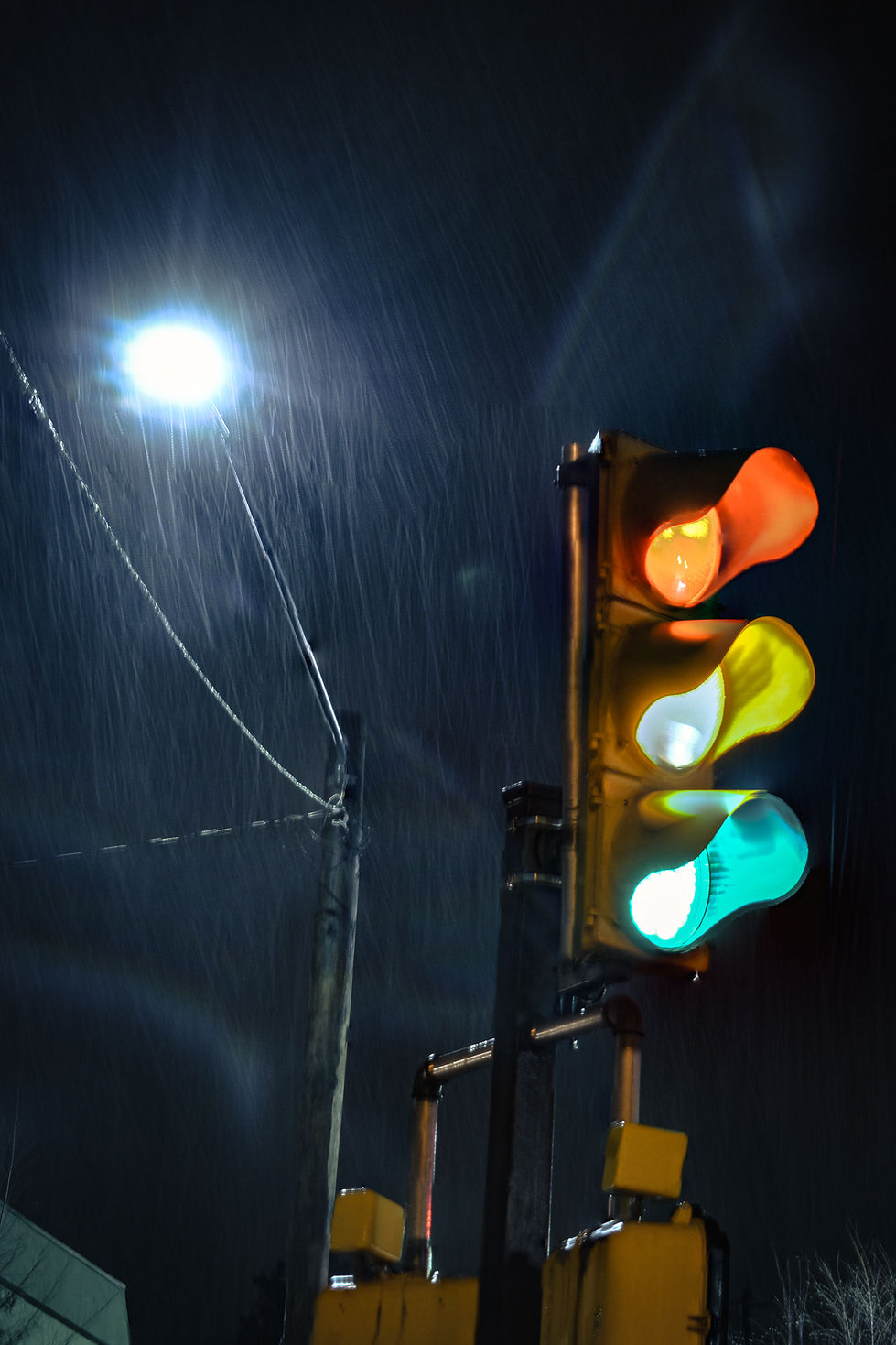 Stop Light_Stephanie Evans