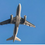 Thumbnail: Foreign