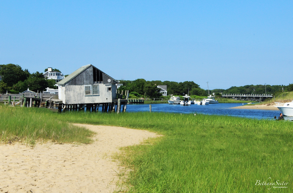 Cape Cod, Mass.