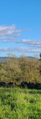 alrededor de casa rural dana