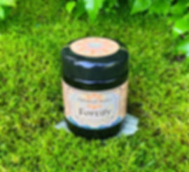 Fortify 7 Medicinal Mushrooms Instant Tonic Tea in 100g Miron Violet Glass Jar