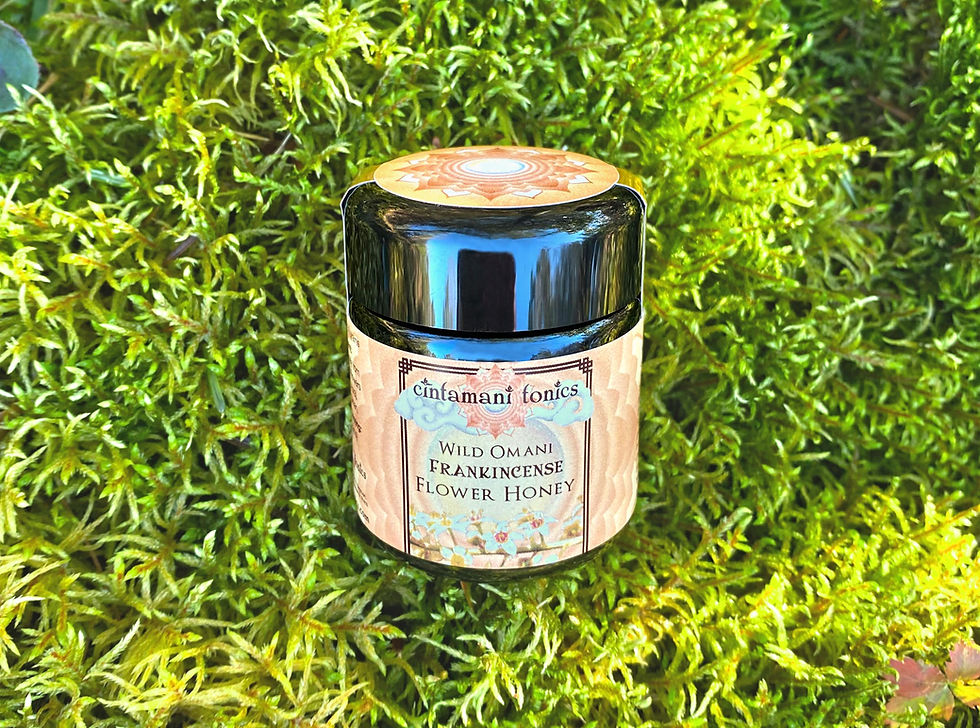 Thumbnail: Wild Omani Frankincense Flower Honey in 50 gram Miron violet glass jar
