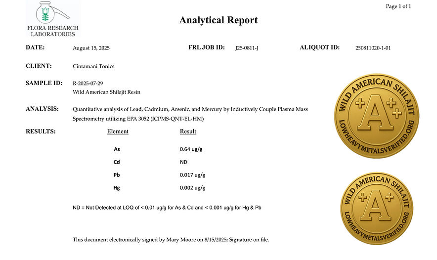Wild American Shilajit Heavy Metals Analysis 2025 showing extremely low levels of Heavy Metals: As 0.64ppm, Cd Not Detected, Pb 0.017ppm, Hg 0.002ppm. LowHeavyMetalsVerified Grade A++ and A+++