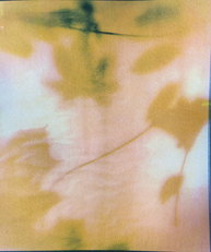 Perception Blur as Protection