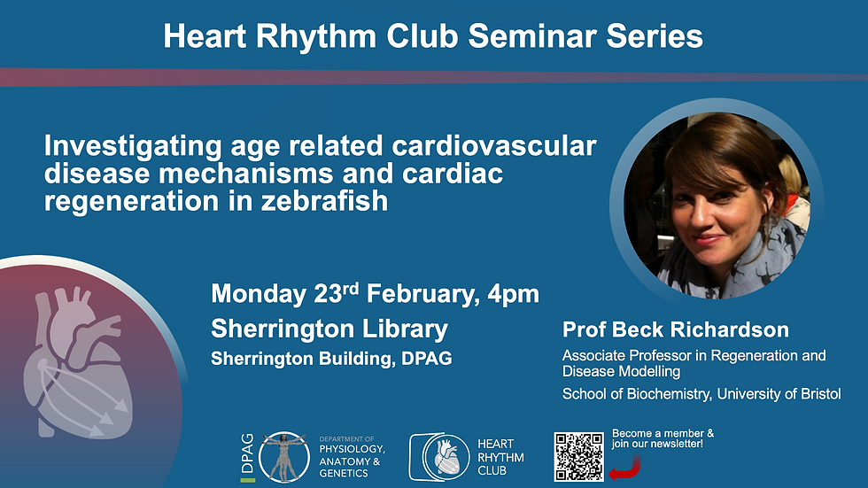 HRC Seminar: Prof Beck Richardson