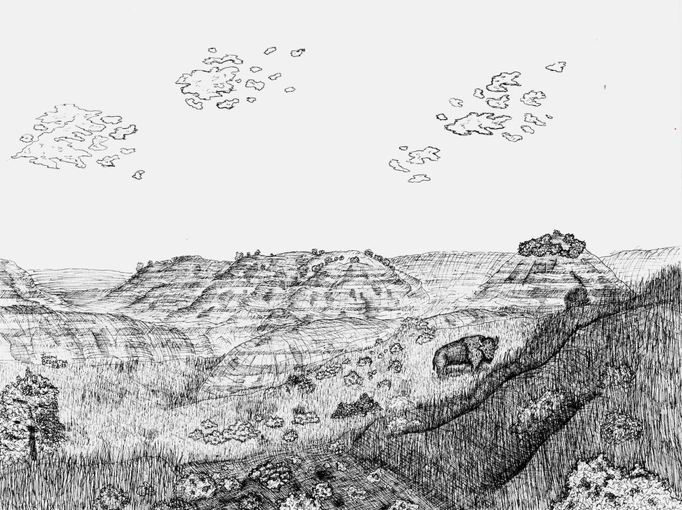 Pen drawing of a bison in a badlands landscape