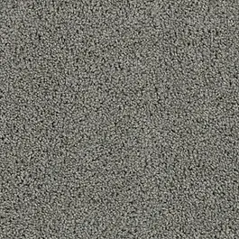 *Installation with ⅜ inch padding, does not include furniture move.  Carpet installation on stairs will incur an additional fee. 
