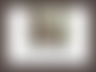 The Spring Season of Life: Awakening to New Possibilities