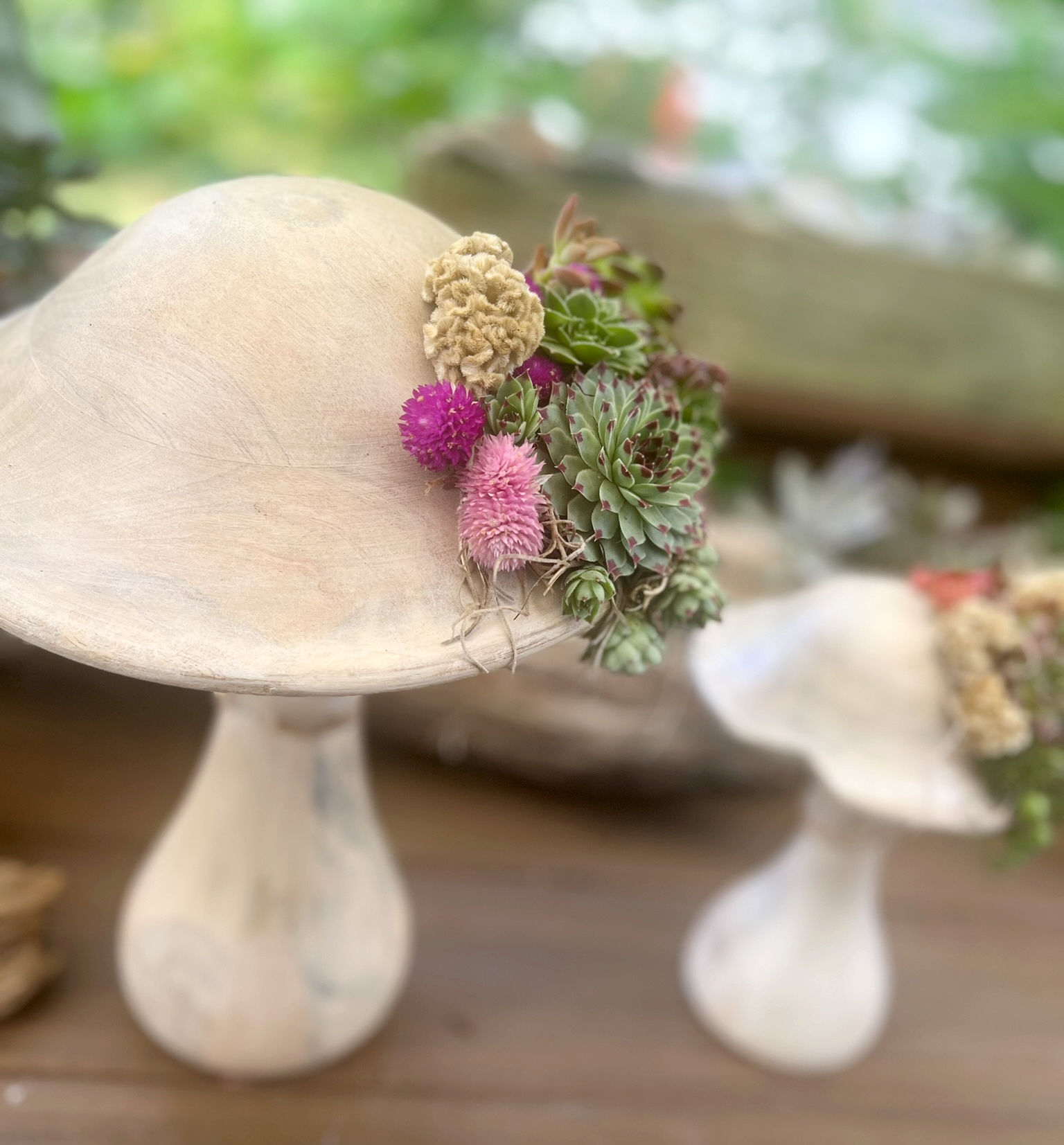 Succulent Mushroom Arrangement