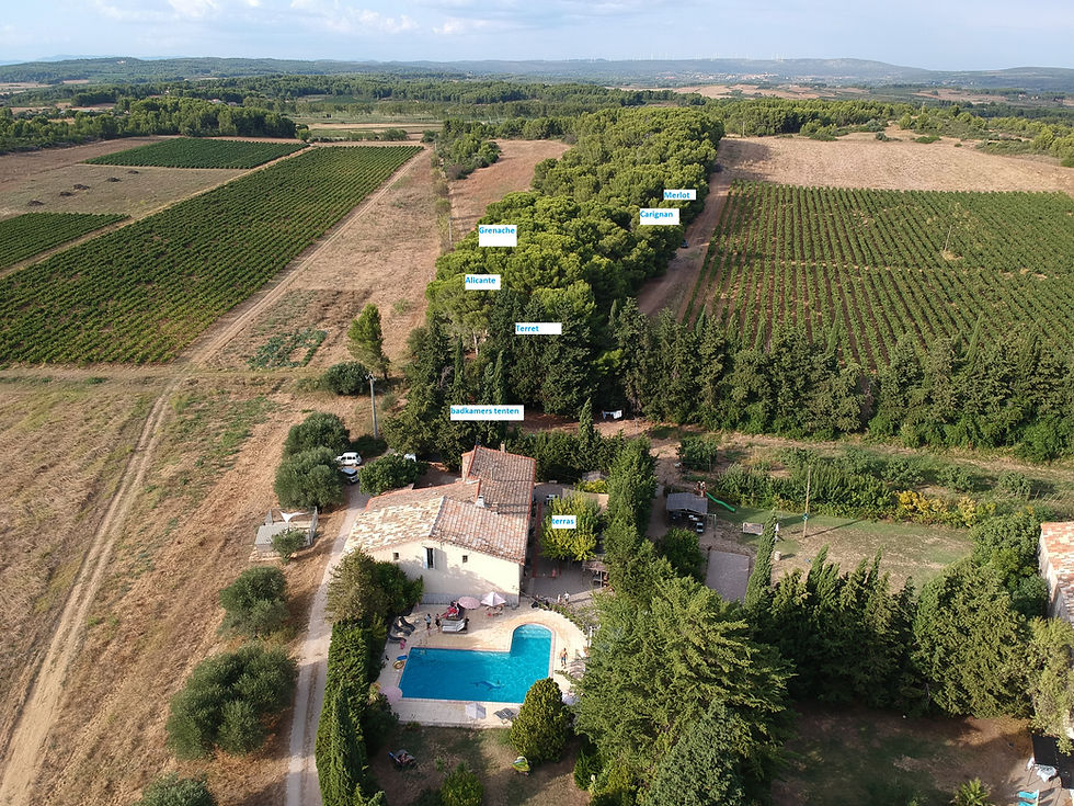 badkamers en tenten in het bos