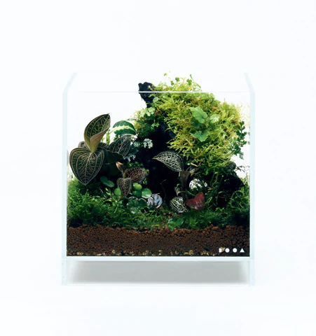 Miniatura: DOOA Jungle Soil 3L