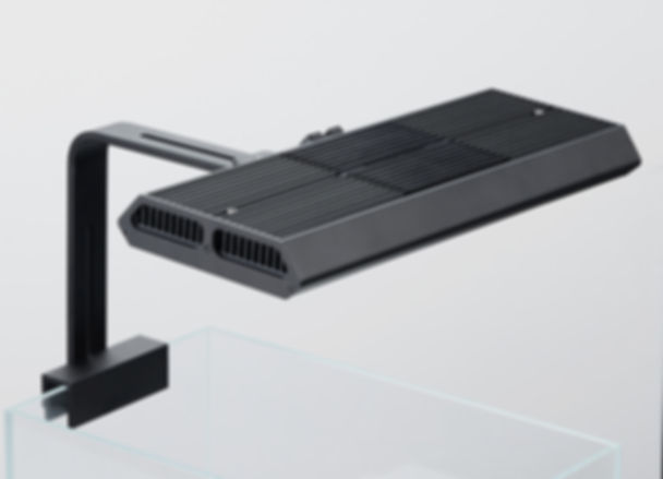 RGB VIVID MINI