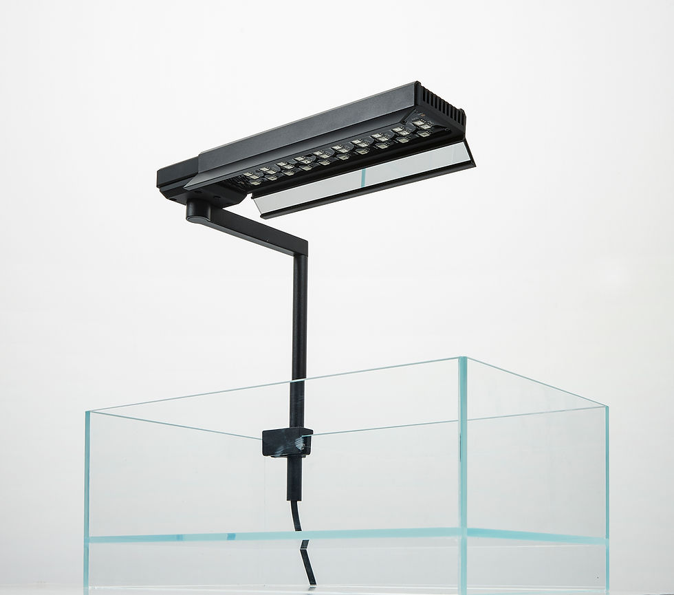 Miniatura: CII RGB SHADE