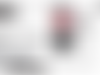 The latest issue of our newsletter is here !!