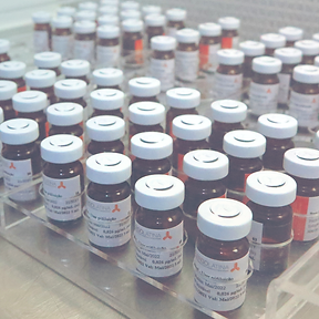 Vacinas para Imunoterapia Alergolatina