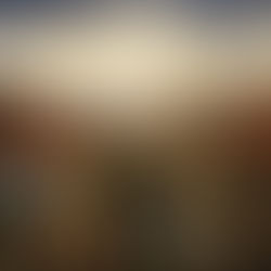 Quando l'abbondanza di immobili porta alla povertà: una prospettiva curiosa